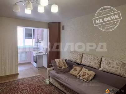 студия, 31.5 м&sup2;