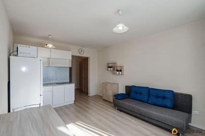 студия, 23.5 м&sup2;