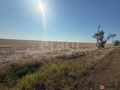 земельный участок, 1 га