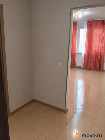 студия, 24.5 м&sup2;