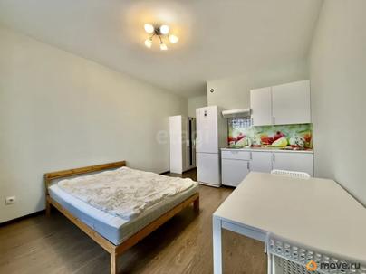 студия, 24.1 м&sup2;