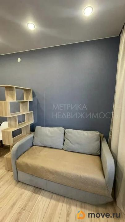 студия, 24.1 м&sup2;