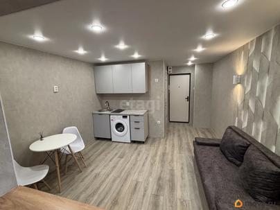 студия, 17.3 м&sup2;