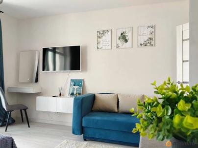 студия, 22.58 м&sup2;