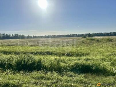 земельный участок, 8 соток